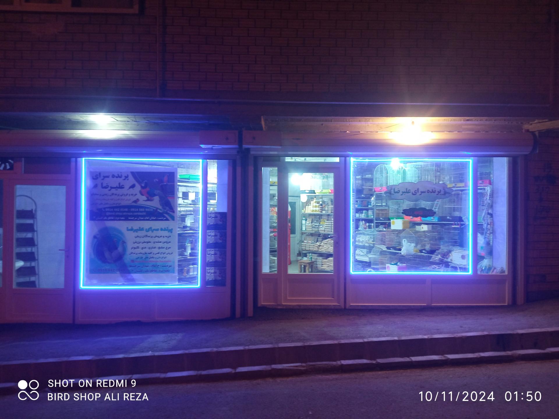 عکس پرنده سرای علیرضا 