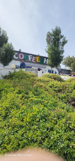 عکس کافی شاپ 