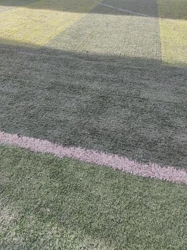 عکس ورزشگاه میثم تمار