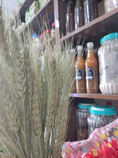 عکس ادویه جات نایبند