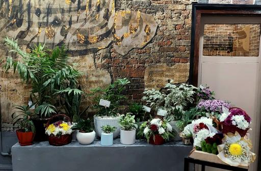 عکس خانه تعالی ویژه بانوان