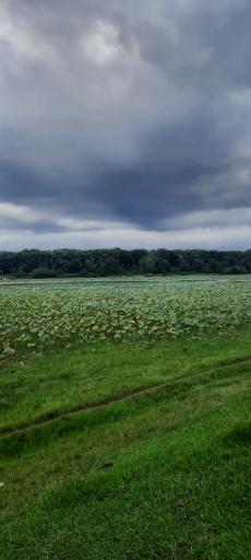 عکس تالاب فصلی فشتام