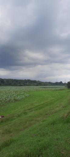 عکس تالاب فصلی فشتام