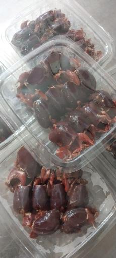 عکس ماهی سرای نیلگون