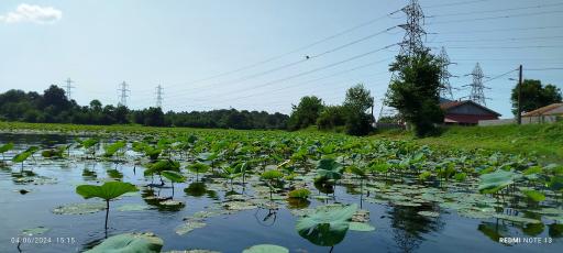 عکس تالاب فصلی فشتام