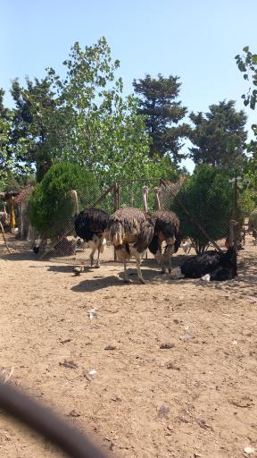 عکس مجتمع آموزشی فرهنگی رفاهی پردیس فراجا