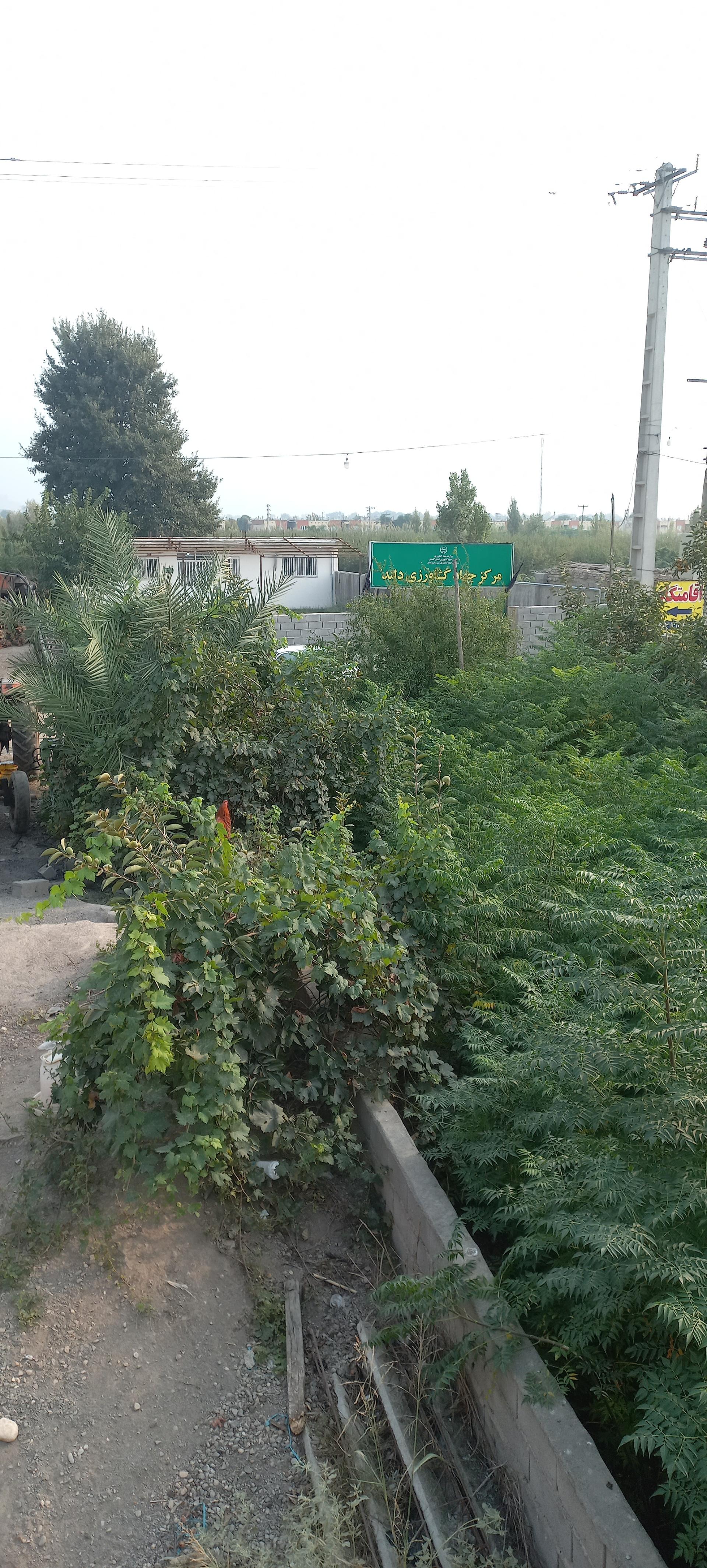 عکس جهاد کشاورزی دلند