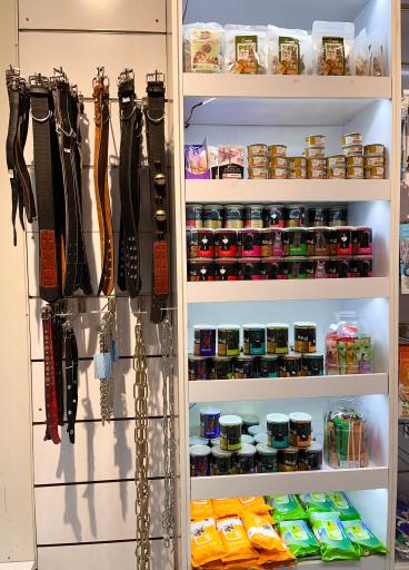 عکس کلینیک دامپزشکی دکتر لطیفی