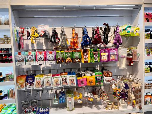 عکس کلینیک دامپزشکی دکتر لطیفی