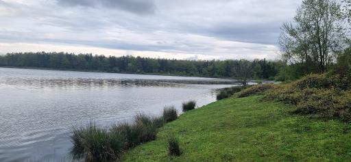 عکس تالاب فصلی فشتام