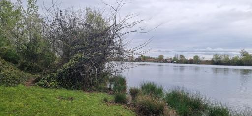 عکس تالاب فصلی فشتام