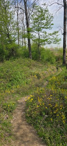 عکس تالاب فصلی فشتام