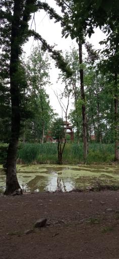 عکس تالاب فصلی فشتام