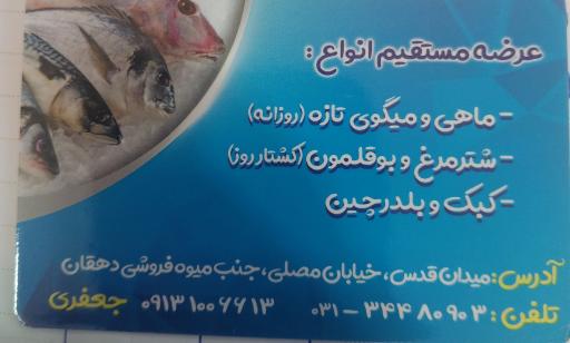 عکس ماهی سرای نیلگون