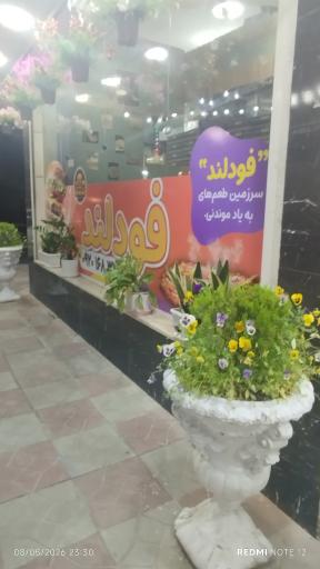 عکس فست فود فودلند 