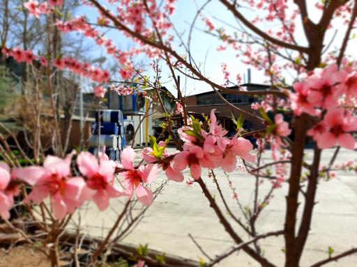 عکس شرکت پلاستی سایزر