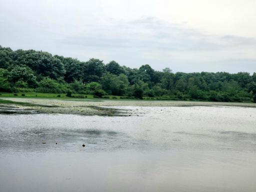 عکس تالاب فصلی فشتام