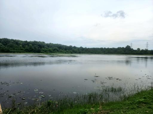 عکس تالاب فصلی فشتام