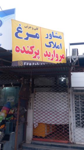 عکس مرغ فروشی 