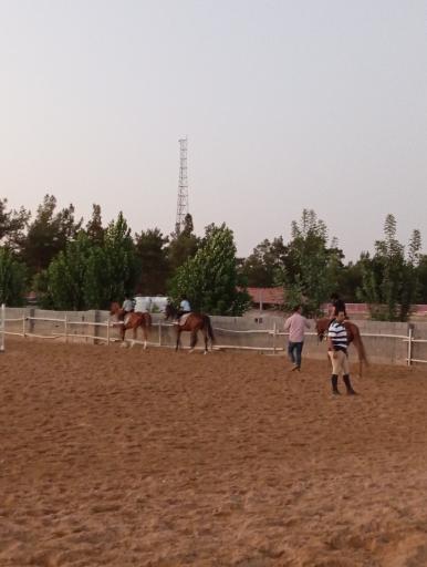 عکس باشگاه سوارکاری سمند