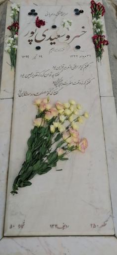 عکس مزار زنده یاد خسرو سعیدی پور قطعه ۲۵۰ ردیف ۱۳۳ شماره ۵۰