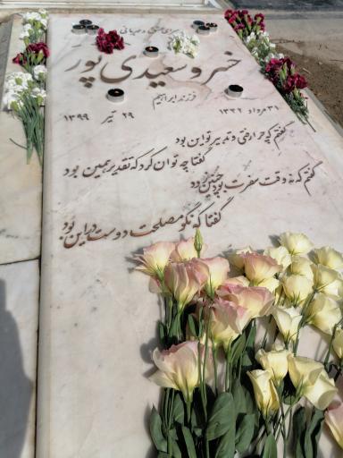 عکس مزار زنده یاد خسرو سعیدی پور قطعه ۲۵۰ ردیف ۱۳۳ شماره ۵۰