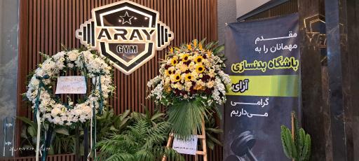 عکس مجموعه ورزشی آرای
