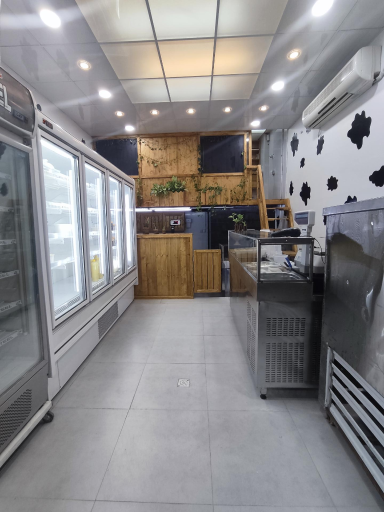 عکس لبنیاتی صولت