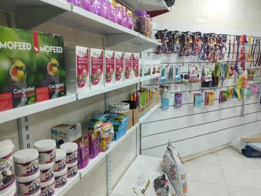 عکس پت شاپ رویال