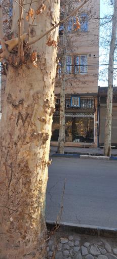 عکس املاک‌ نیریزی