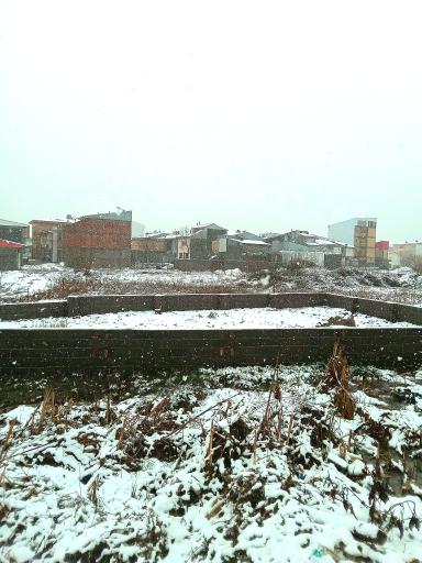 پارک دانشجو