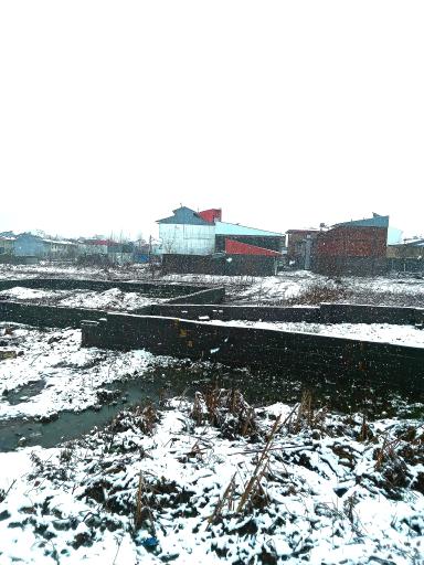 پارک دانشجو