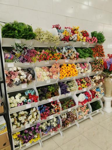 عکس قصر گل میخک (پخش گل غرب شعبه2)