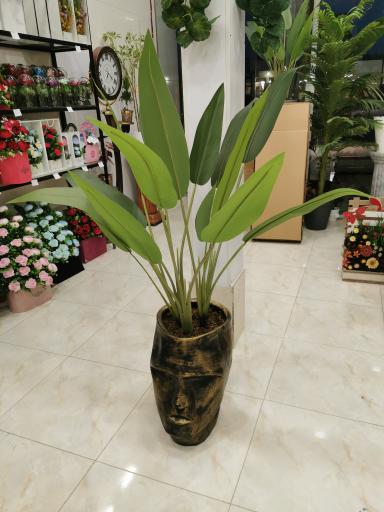 عکس قصر گل میخک (پخش گل غرب شعبه2)