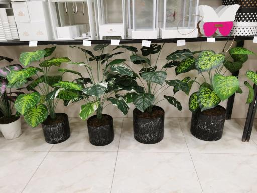 عکس قصر گل میخک (پخش گل غرب شعبه2)