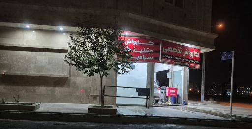 کارواش تخصصی