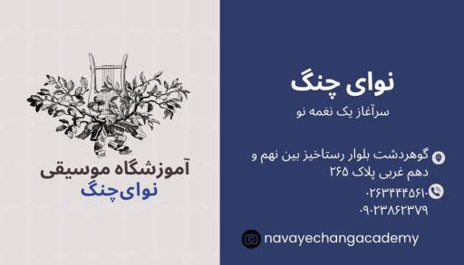 آموزشگاه موسیقی نوای چنگ