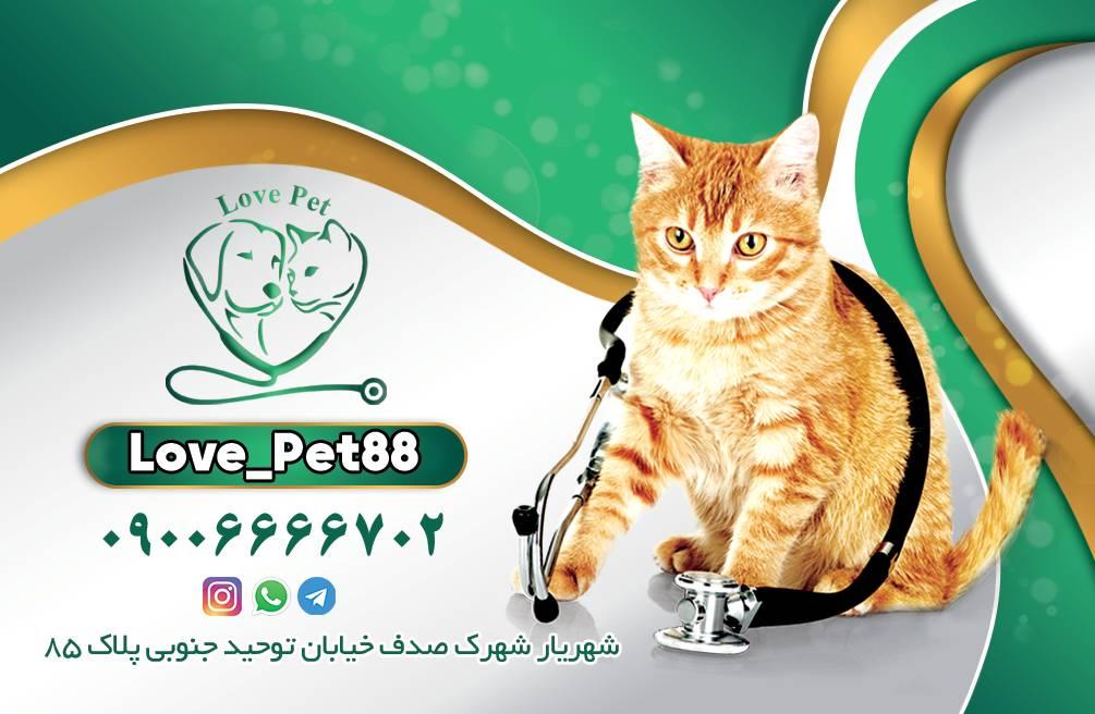 عکس Love Pet