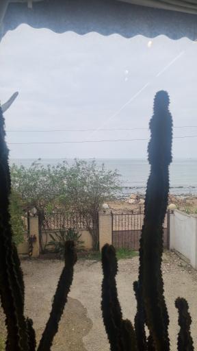 عکس رستوران سوجان