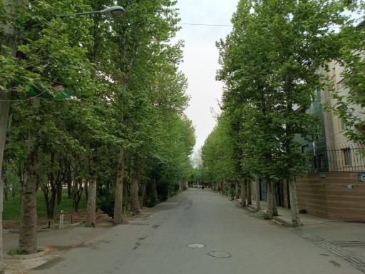 عکس فضای سبز شهدای کوی جهان