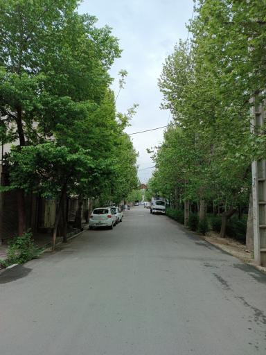 عکس فضای سبز شهدای کوی جهان