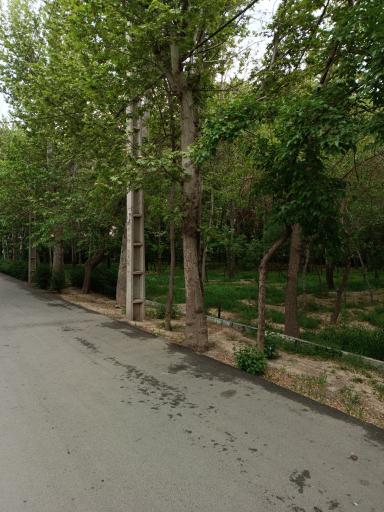 عکس فضای سبز شهدای کوی جهان