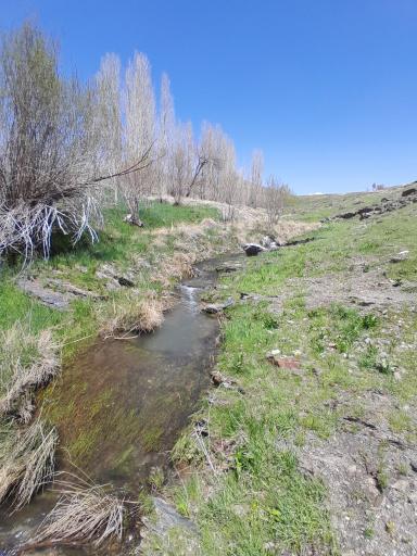 عکس حصاردره