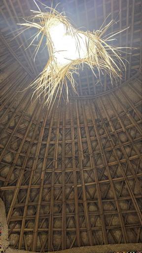 عکس بومگردی چیکو