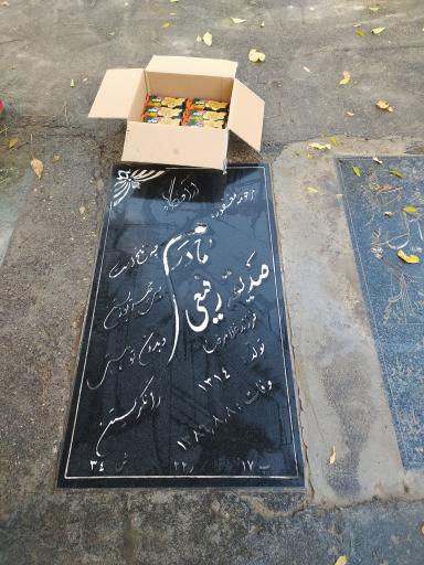 عکس مزار صدیقه رفیعی