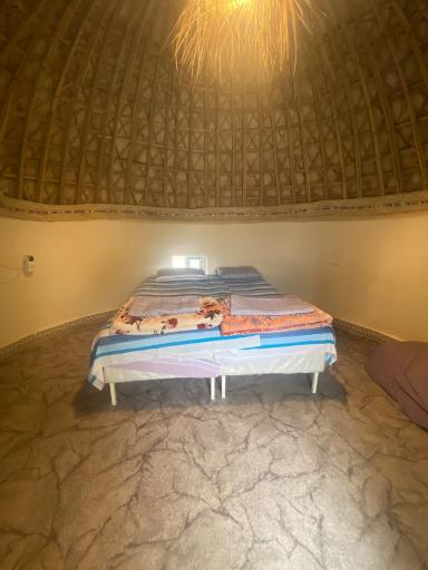 عکس بومگردی چیکو