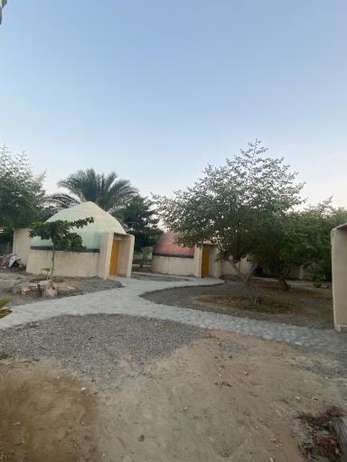 عکس بومگردی چیکو