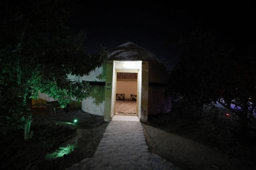 عکس بومگردی چیکو