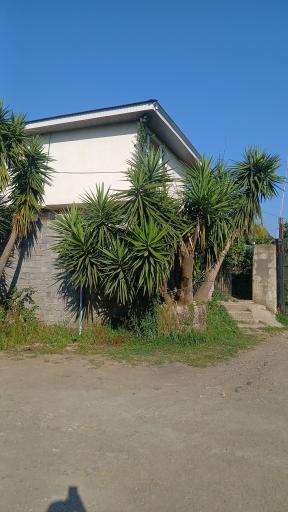 عکس گلستان ویتاسه 