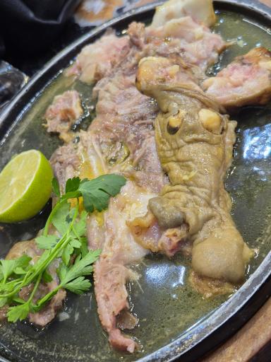 عکس طباخی سفید بره